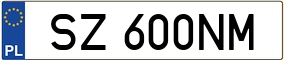 Trailer License Plate
